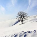 정화목장 이미지