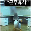 돼장갈비찜 이미지