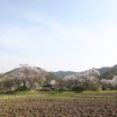 노루목축산 네이버블로그