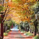 푸른길근린공원 이미지