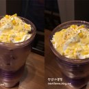 라쿠아(laqua)