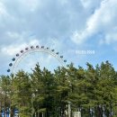 NR-7[동해대로]-하-273 | [속초여행]1박2일 속초해수욕장 유채꽃둘레길 속초중앙시장맛집투어