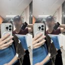 아무 예고없이 시작된 여름날처럼 ω