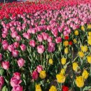 지티행정사사무소 이미지