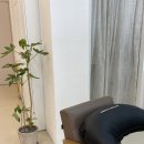 카페 헤르만 이미지