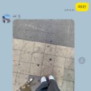 인쌩맥주배곧점 이미지