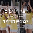 전·현직 G.O들이 알려주는 해외취업 현실 조언!