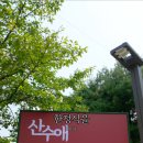 산수애 이미지