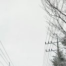 동탄역리슈빌공인중개사사무소 이미지