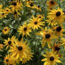 달이실펜션 이미지