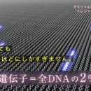 2024-03-0012 - 당진시 | 2024-03-0012