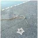 미조마을 공중화장실 이미지