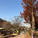 앞산강아지
