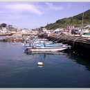 신항민박 이미지