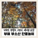 가을걷기코스 | 🍁 부여 부소산 가을 단풍놀이 후기｜아이들과 걷기 좋은 쉬운 코스 &amp; 주차정보