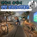 연천전곡전곡함-1 | 연천 입장료 무료 전곡선사박물관 전곡리 유적지 구석기축제 후기
