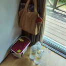 5호선 오목교하 매점 | [용인 처인] 우리 가족 별장 ::용인자연휴양림:: 신분증/개인수건/캠핑체어 필참!! 그리고 닭강정을 곁들인