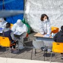 수원-1817 이미지