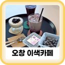 신진농장 | 오창 데이트 유송블루베리농장 이색 카페