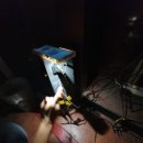 동전넣고 소리질러 이미지