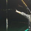 목포바지선포인트선상 이미지