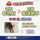 [함안보호소유기견] 9/16(토) 경기 부천➡서울 동대문구 "바오" 이동을 도와주세요😂 이미지