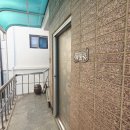 죽전길 | 대구 달서구 파충류샵 할리퀸즈, 방문 후기