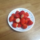 커피플라워 이미지