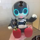 마이룸TV 이미지