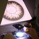 지오렌즈 이미지