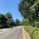 서울대학교 농업생명과학대학 이미지