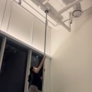 폴리너스폴댄스 이미지