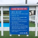 안면애견펜션프리독 | 안면도 강아지수영장, 운동장 있는 애견동반 펜션 추천 '안면애견펜션프리독' 숙소 후기(숙박페스타 가능)