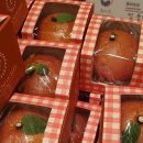 뉴코아아울렛평촌점 이미지