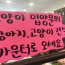 마오네 문덕점 네이버블로그