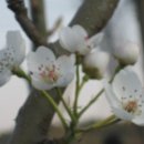 배골농장 이미지