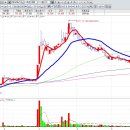 미래 현 컴퍼니 티스토리