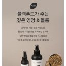 헤어에쏘 이미지