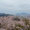 우룡산공원 이미지