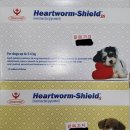 대림온누리약국 이미지