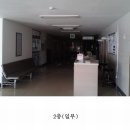 동신초등학교 남동측 이미지