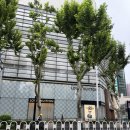 궁 | 중국 난징 우수산 불정궁 입장후기 트립닷컴 예약