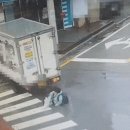 안성초후문 이미지