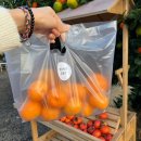 [제주여행] 제주동문시장, &#39;동서청과&#39; 제주감귤 새콤달콤 넘 맛있오