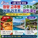 내미농박 | 6시 내고향 6월 26일 방송 정보, 청양 고추빵·거제 리조트·강진 푸소 체험
