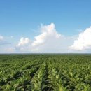 (주)경영팜 이미지