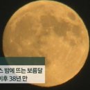 럭키문