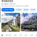 26.7.26정선나전역카페/병방치스카이워크화암동굴 이미지