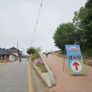 돌고래 | kbs전국노래자랑 충남 당진시편/가수 박지현/당진 면천읍성 특설무대/당진녹화현장 후기