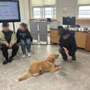 변산중학교 이미지